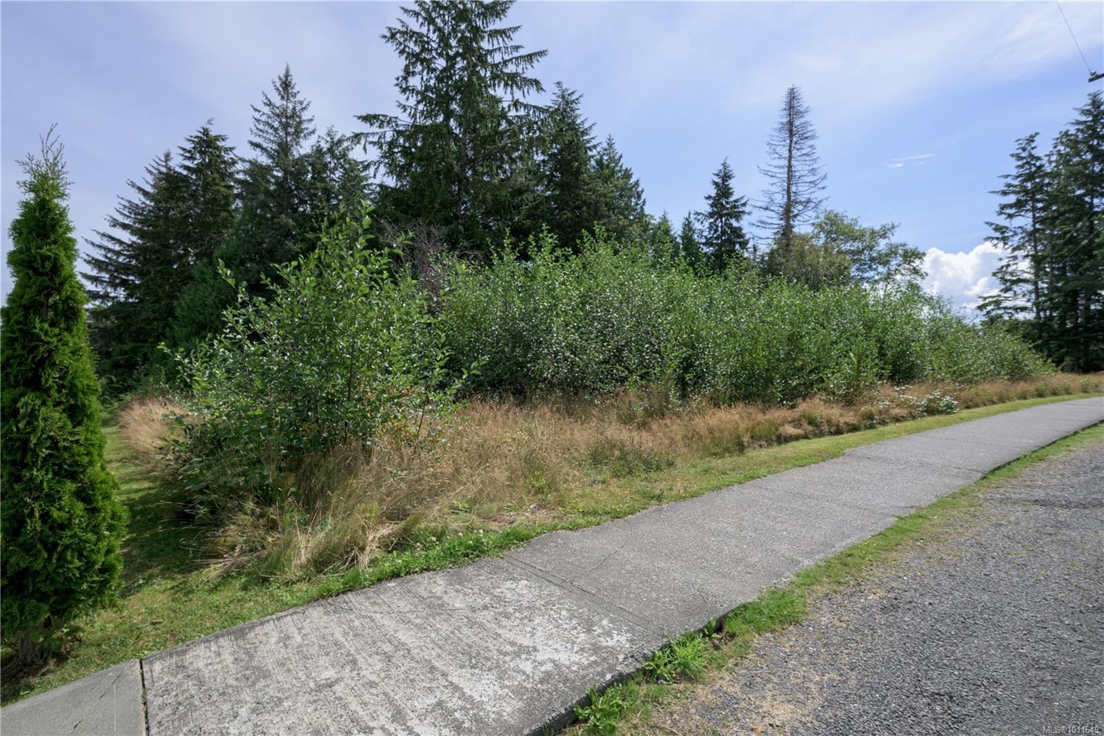 7195 Rupert St, Port Hardy, BC