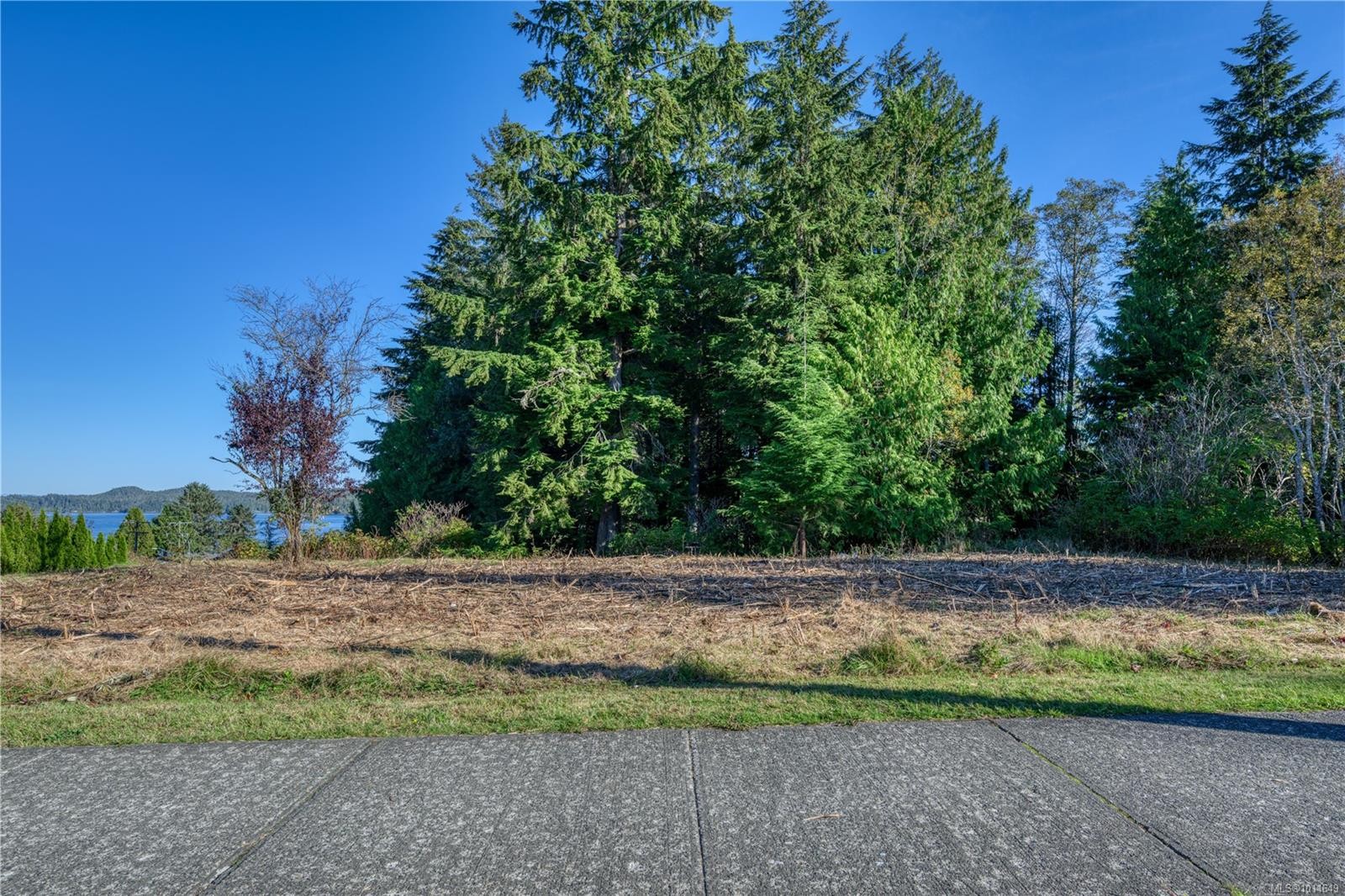 7195 Rupert St, Port Hardy, BC