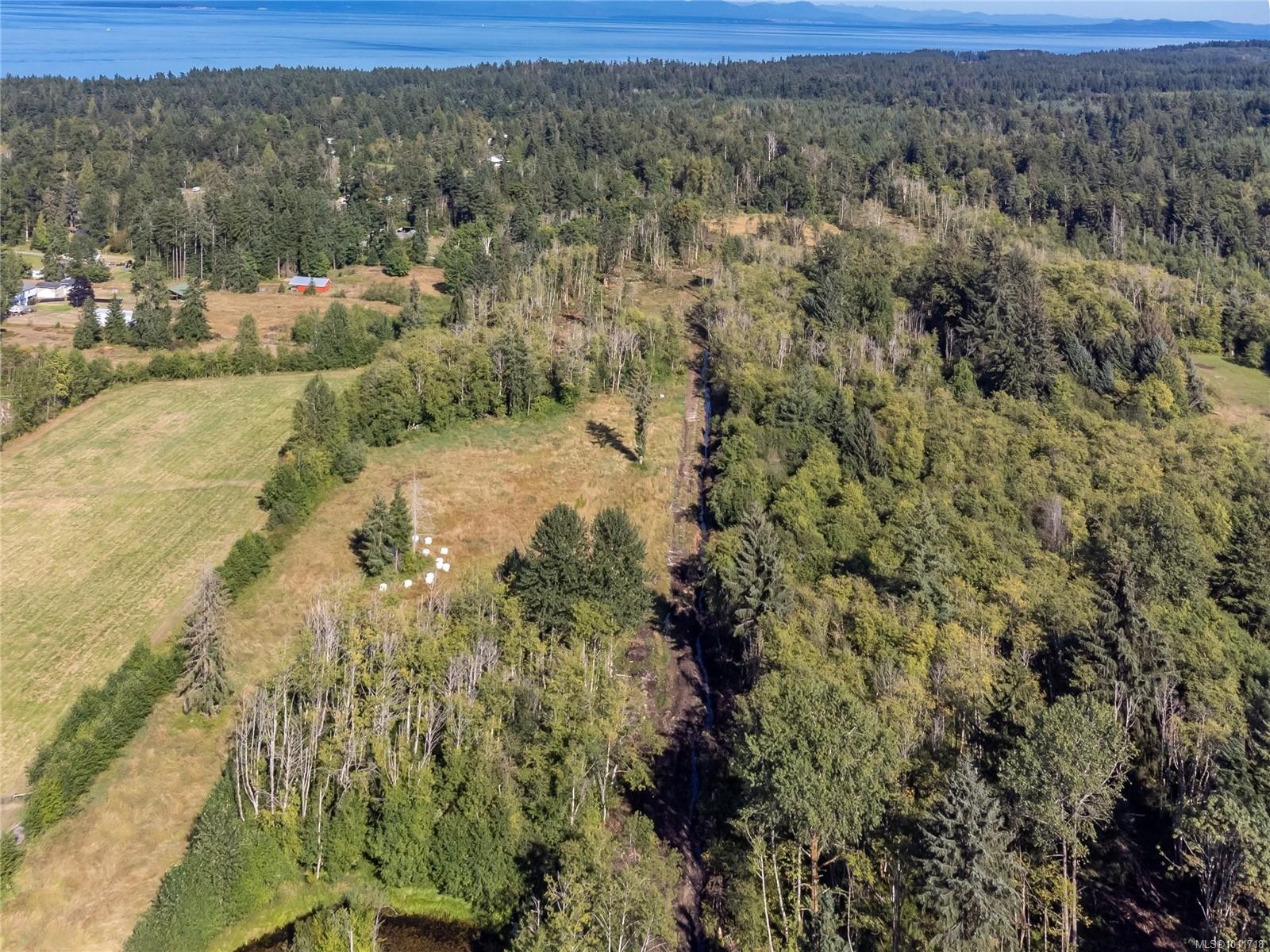 8598 Island Hwy North, Black Creek, BC