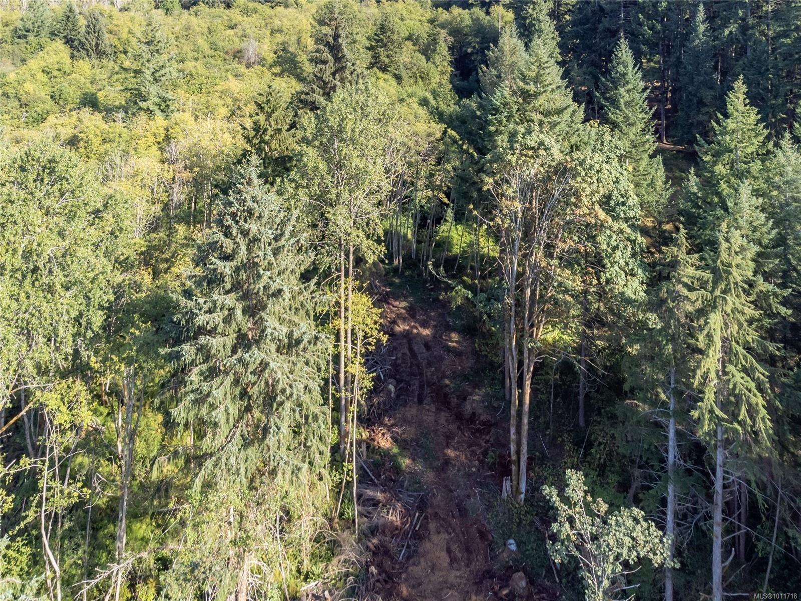 8598 Island Hwy North, Black Creek, BC