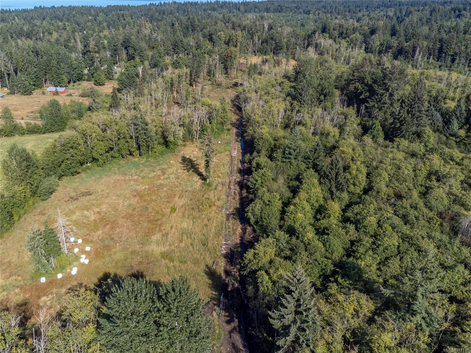 8598 Island Hwy North, Black Creek, BC