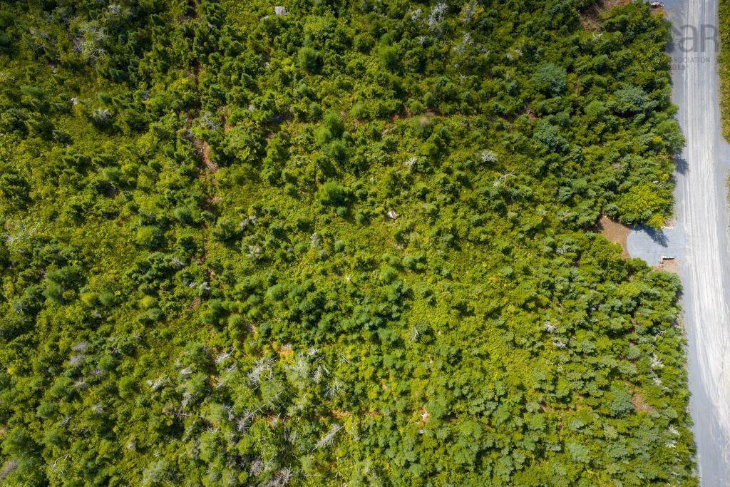 Lot 6 Birchwood Lane, Ostrea Lake, NS