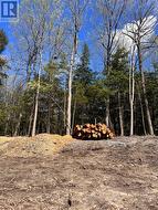 0 LOT SYER LINE Cavan Monaghan, ON L0A 1A0