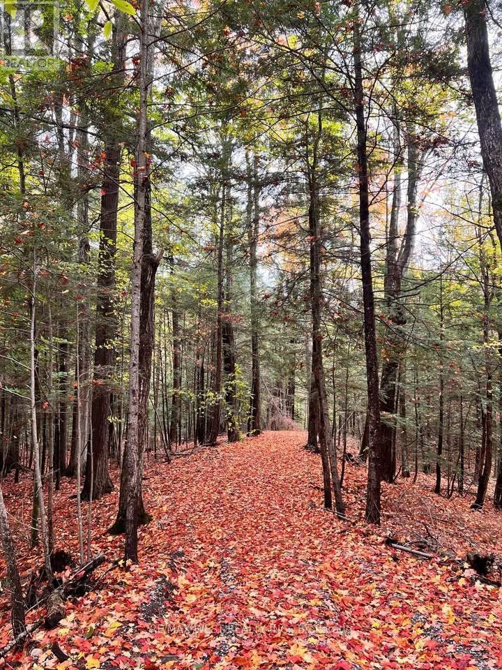 0 Lot Syer Line, Cavan Monaghan, ON