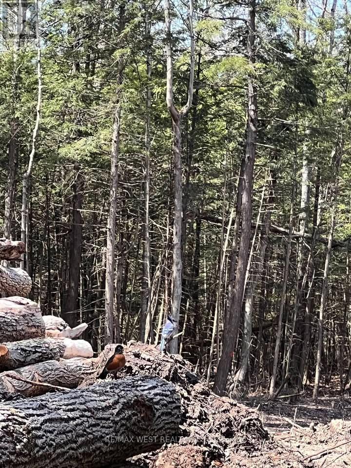 0 Lot Syer Line, Cavan Monaghan, ON