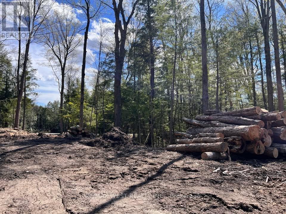 0 Lot Syer Line, Cavan Monaghan, ON