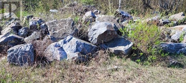 granite boulders - Pt Lt 147 Con A Lount Rye Rye Road, South River, ON
