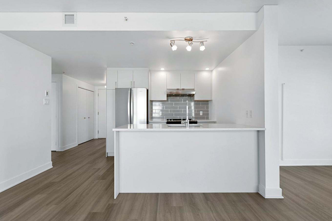 Kitchen - 211-1431 Av. De La Gare, Mascouche, QC - Indoor Photo Showing Kitchen With Double Sink
