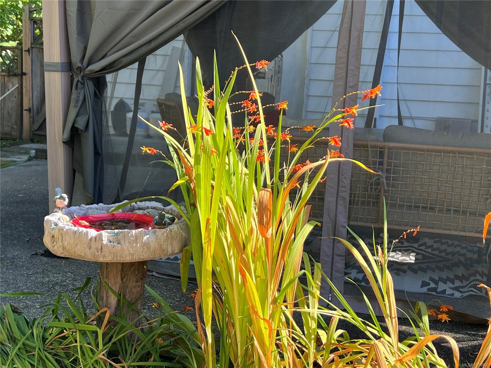 539 Rowan Ave, Parksville, BC