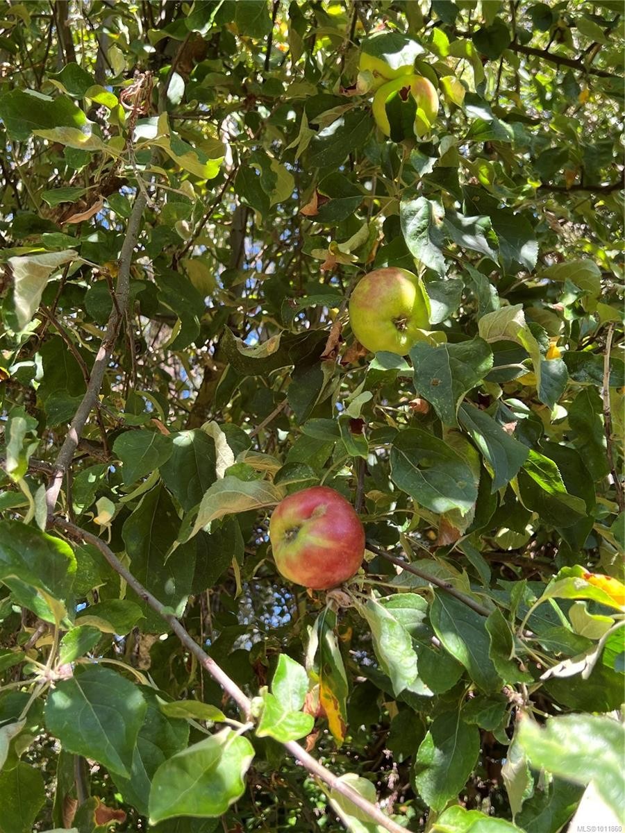 539 Rowan Ave, Parksville, BC