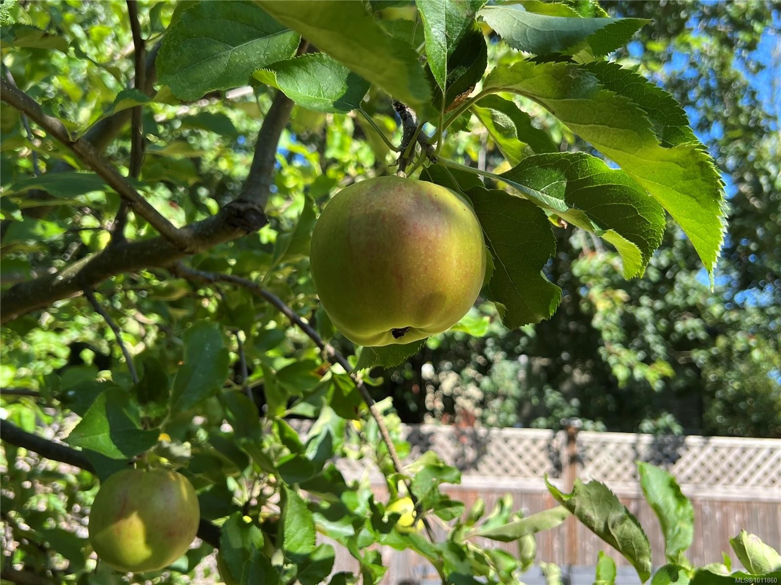 539 Rowan Ave, Parksville, BC