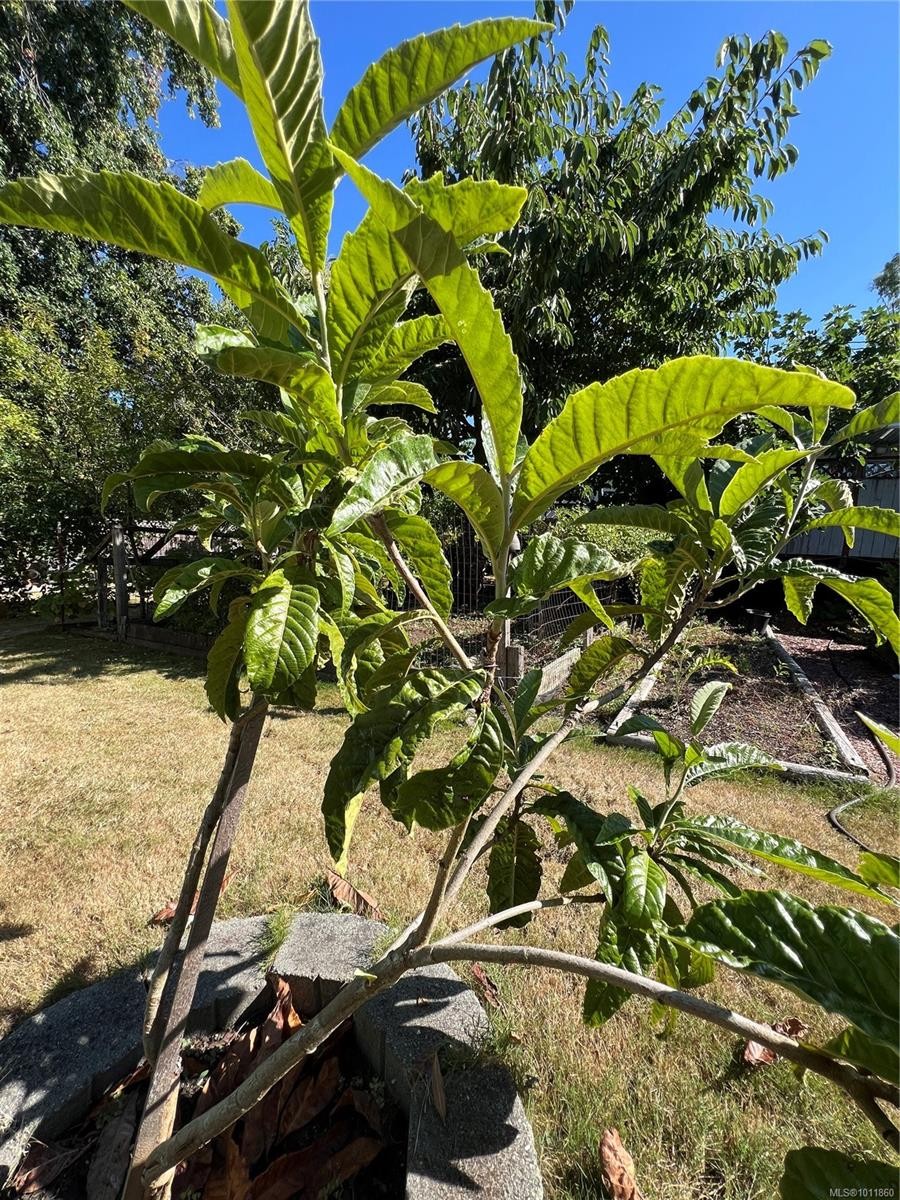 539 Rowan Ave, Parksville, BC