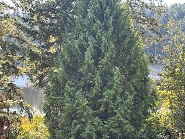 9-315 Robinson Rd, Salt Spring, BC