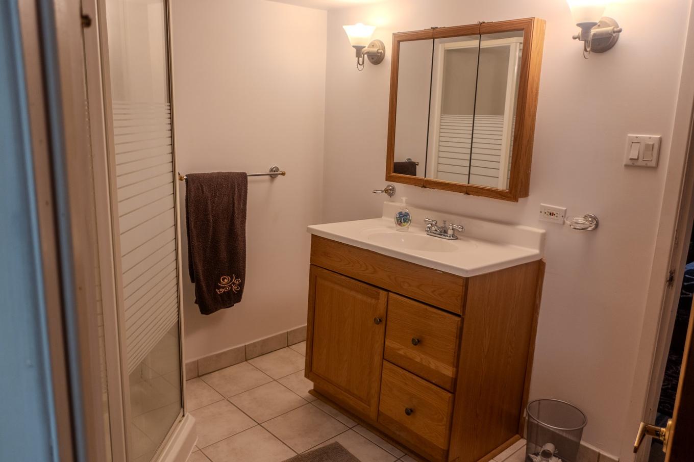 Bathroom - A-31 Rue Des Mésanges, Blainville, QC - Indoor Photo Showing Bathroom