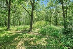 Lot is 325 ft deep -