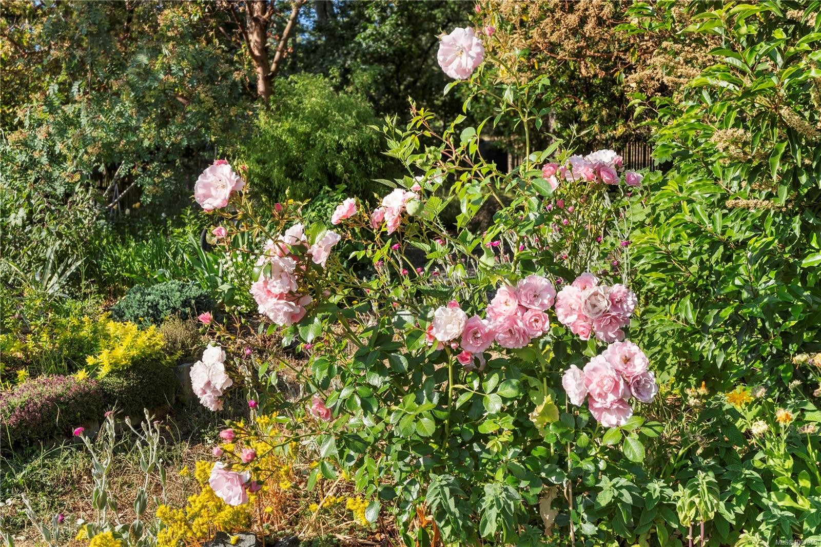 248 Suneagle Dr, Salt Spring, BC