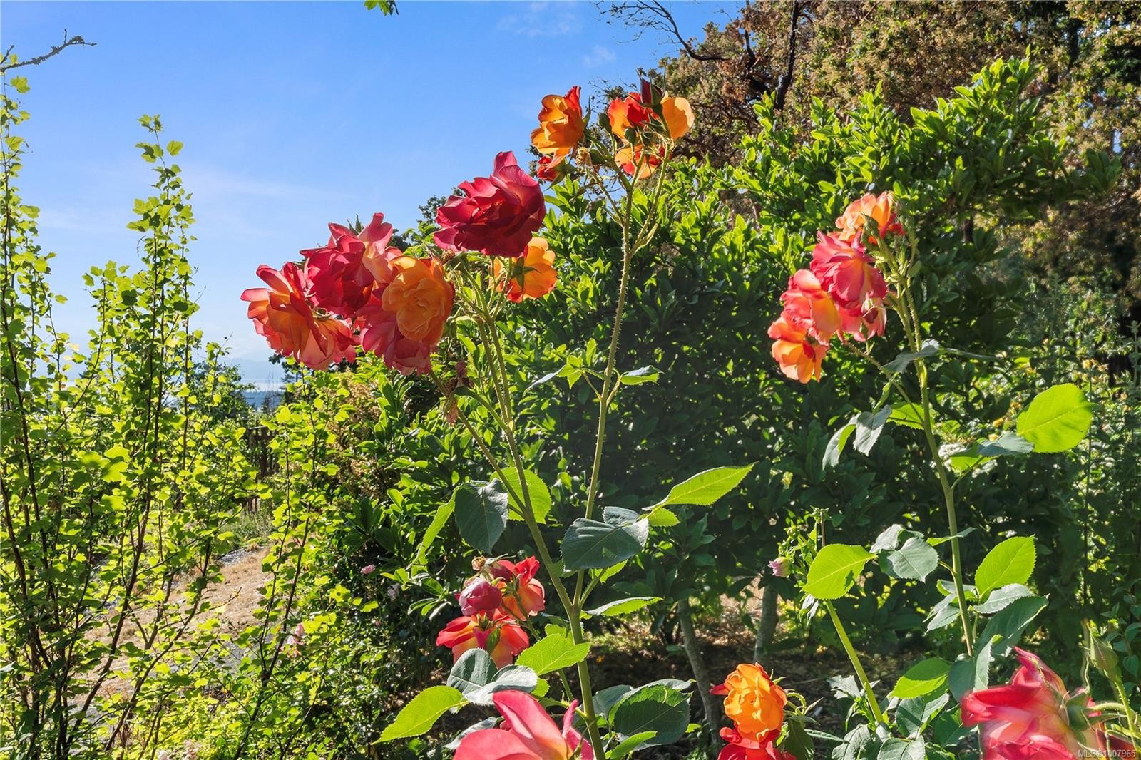 248 Suneagle Dr, Salt Spring, BC