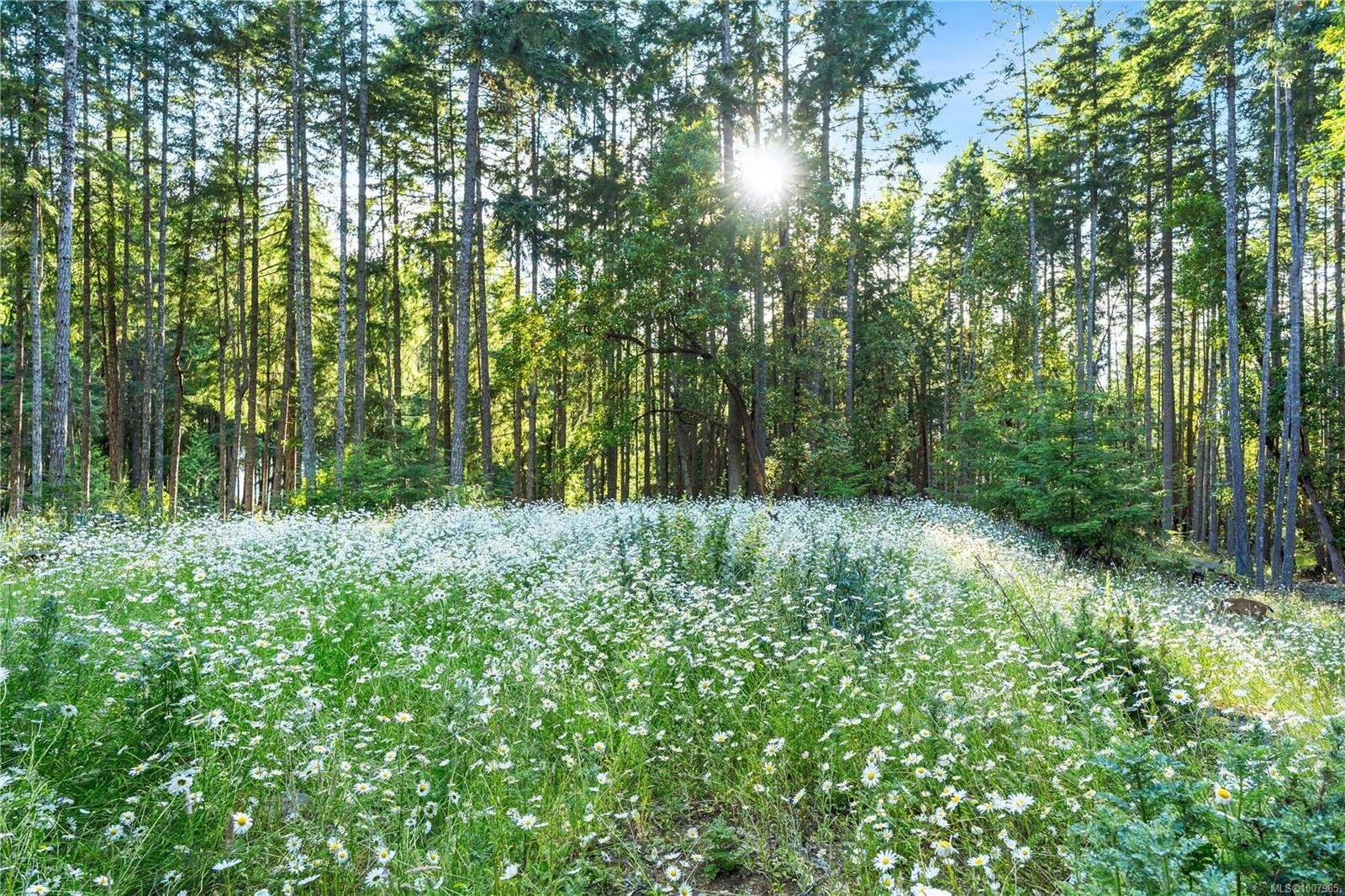 248 Suneagle Dr, Salt Spring, BC