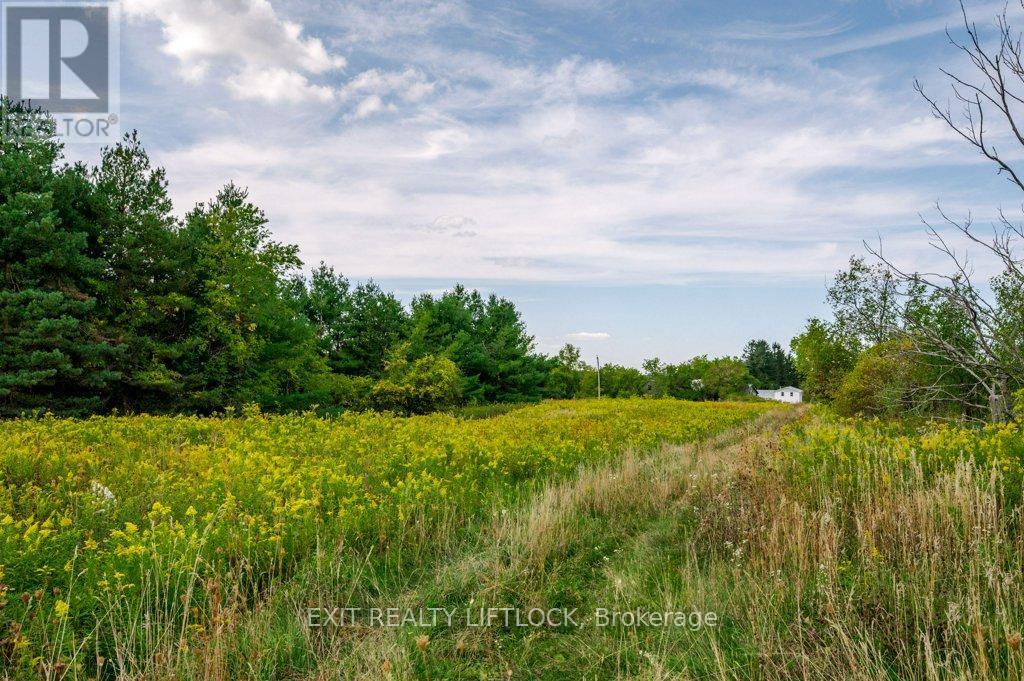 194 County Rd 10, Cavan Monaghan (Cavan Twp), ON - Outdoor With View