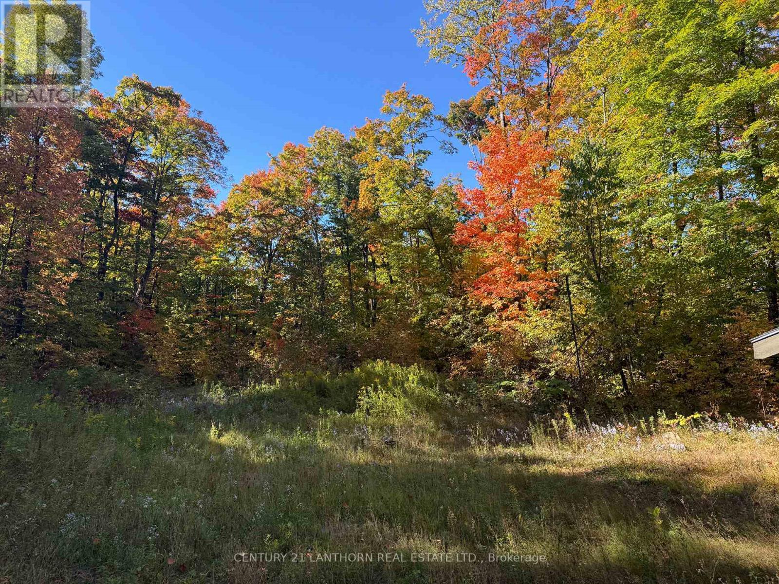 1794 St Ola Road, Tudor And Cashel (Cashel Ward), ON