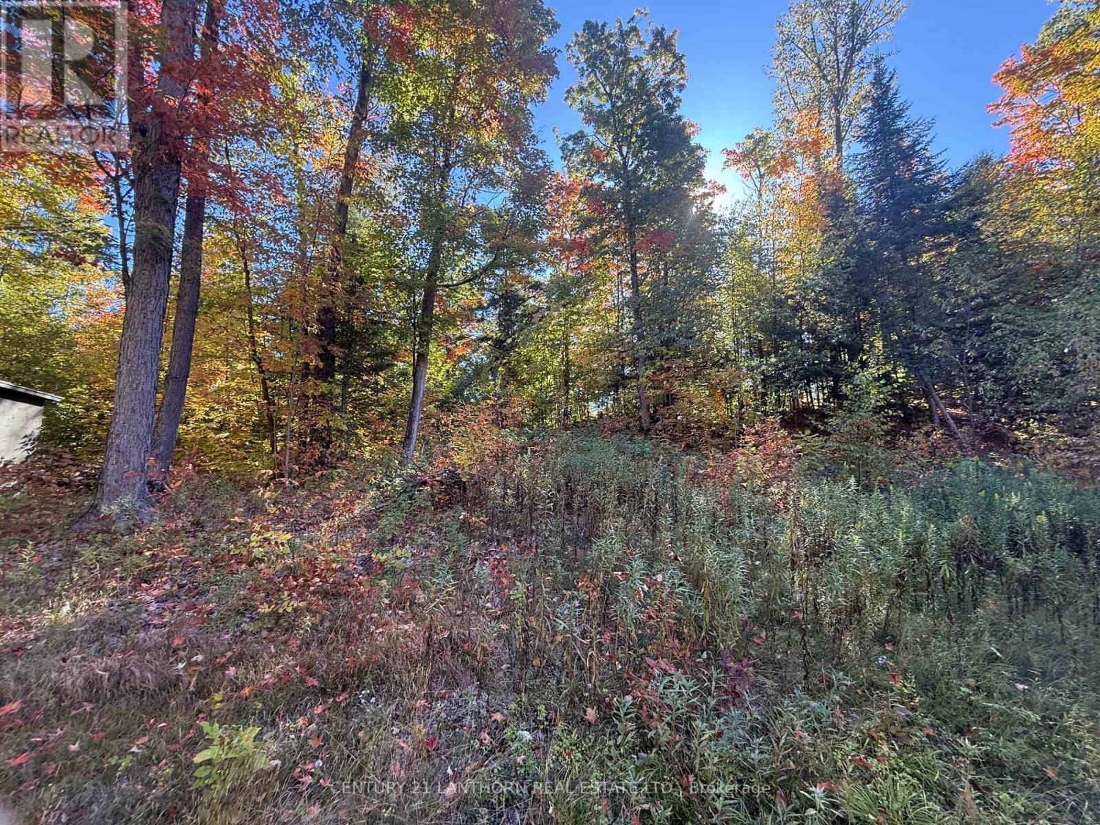 1794 St Ola Road, Tudor And Cashel (Cashel Ward), ON