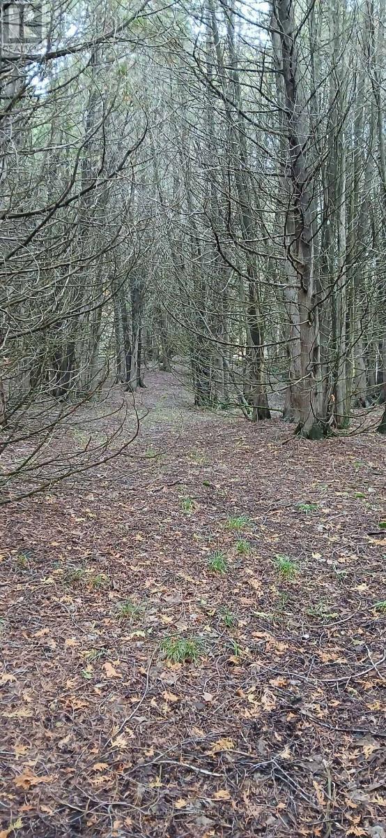 1794 St Ola Road, Tudor And Cashel (Cashel Ward), ON