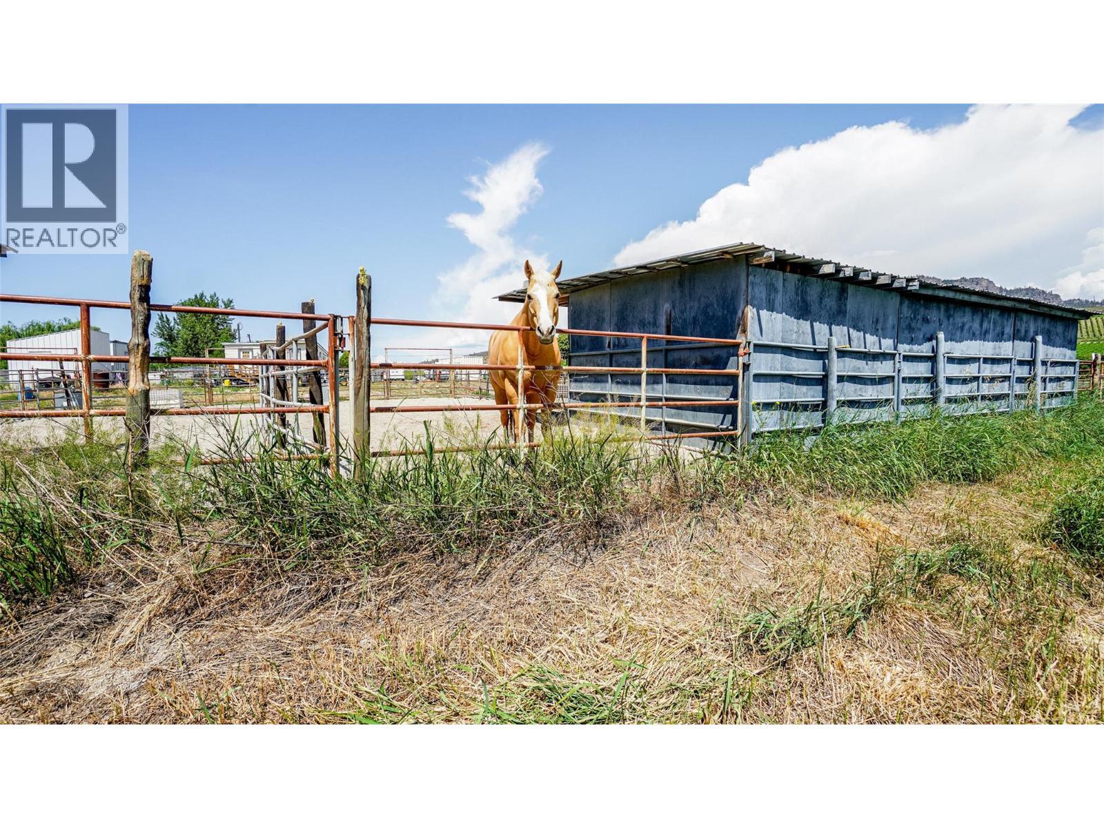 205 Greasewood Avenue, Oliver, BC