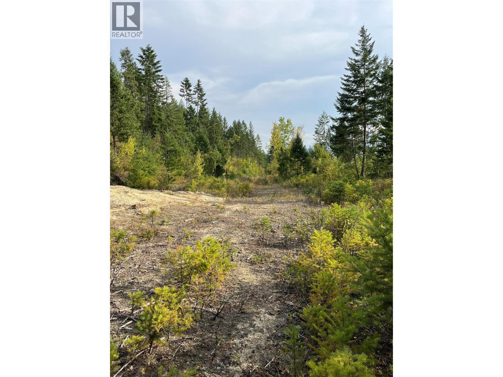 842 Almberg Road Unit# Remainder Lot# Lot, Golden, BC