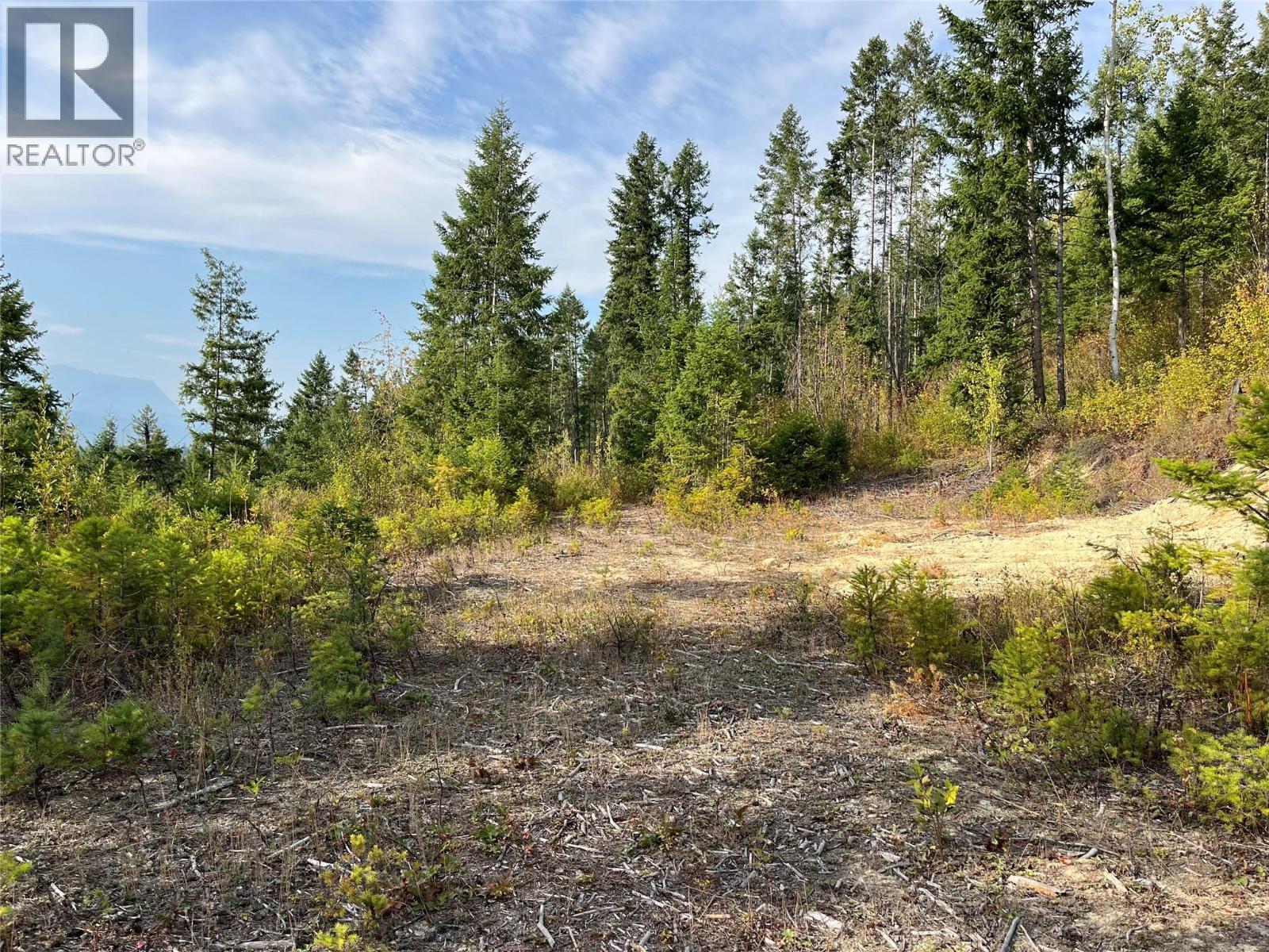 842 Almberg Road Unit# Remainder Lot# Lot, Golden, BC