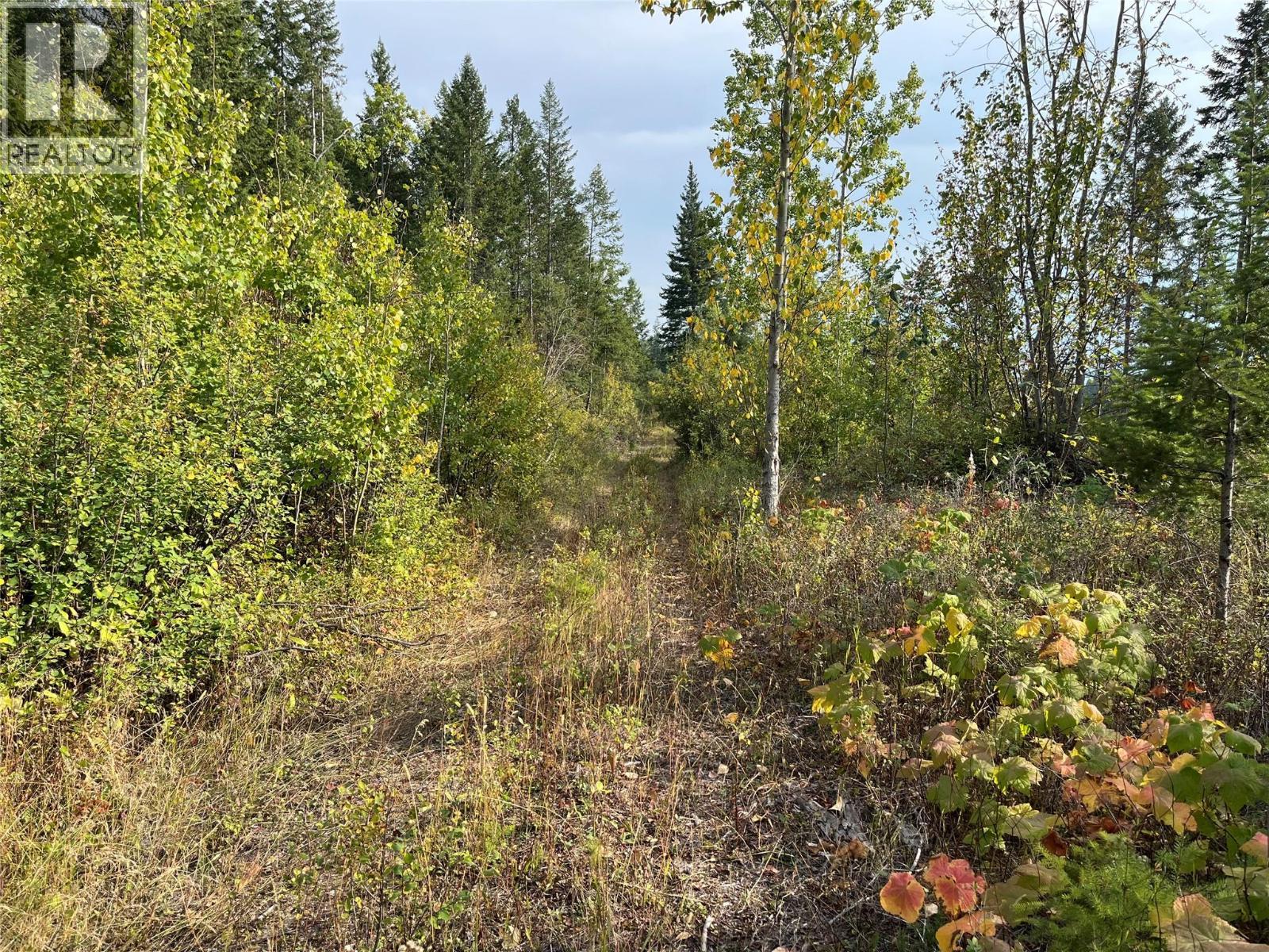 842 Almberg Road Unit# Remainder Lot# Lot, Golden, BC