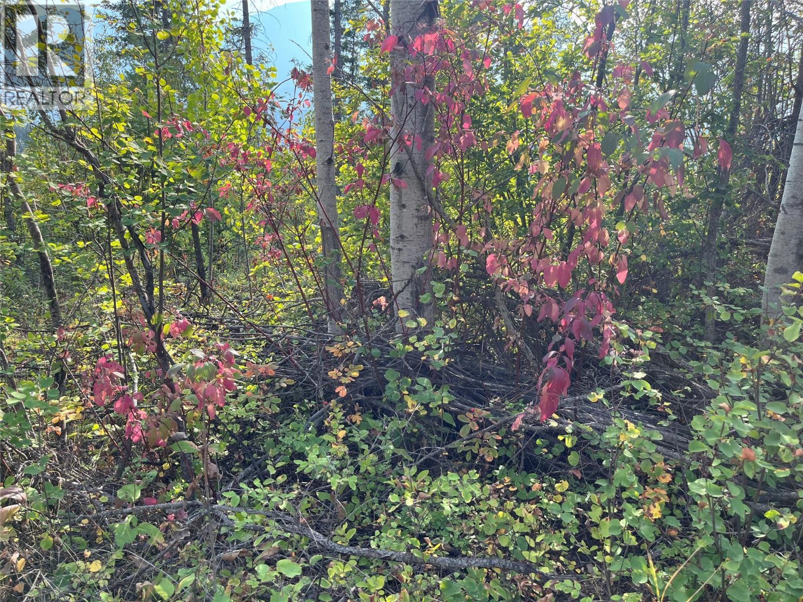 842 Almberg Road Unit# Remainder Lot# Lot, Golden, BC