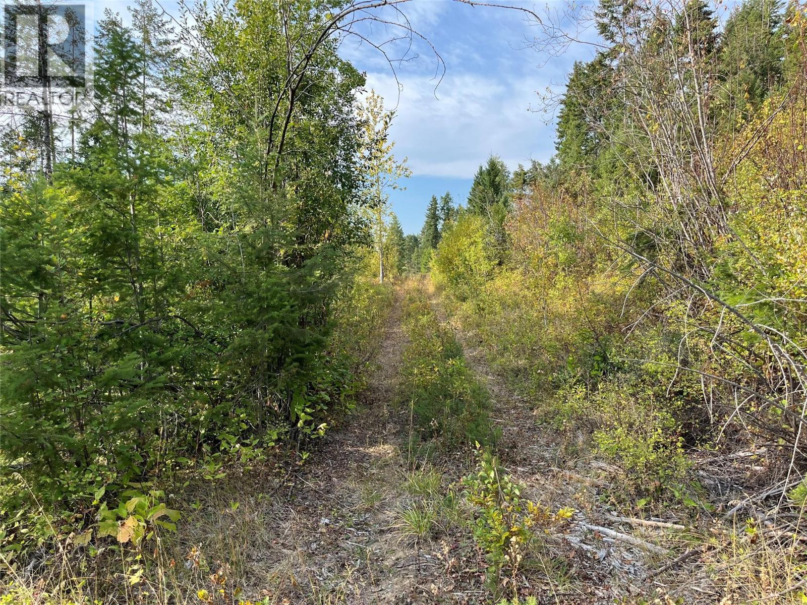 842 Almberg Road Unit# Remainder Lot# Lot, Golden, BC