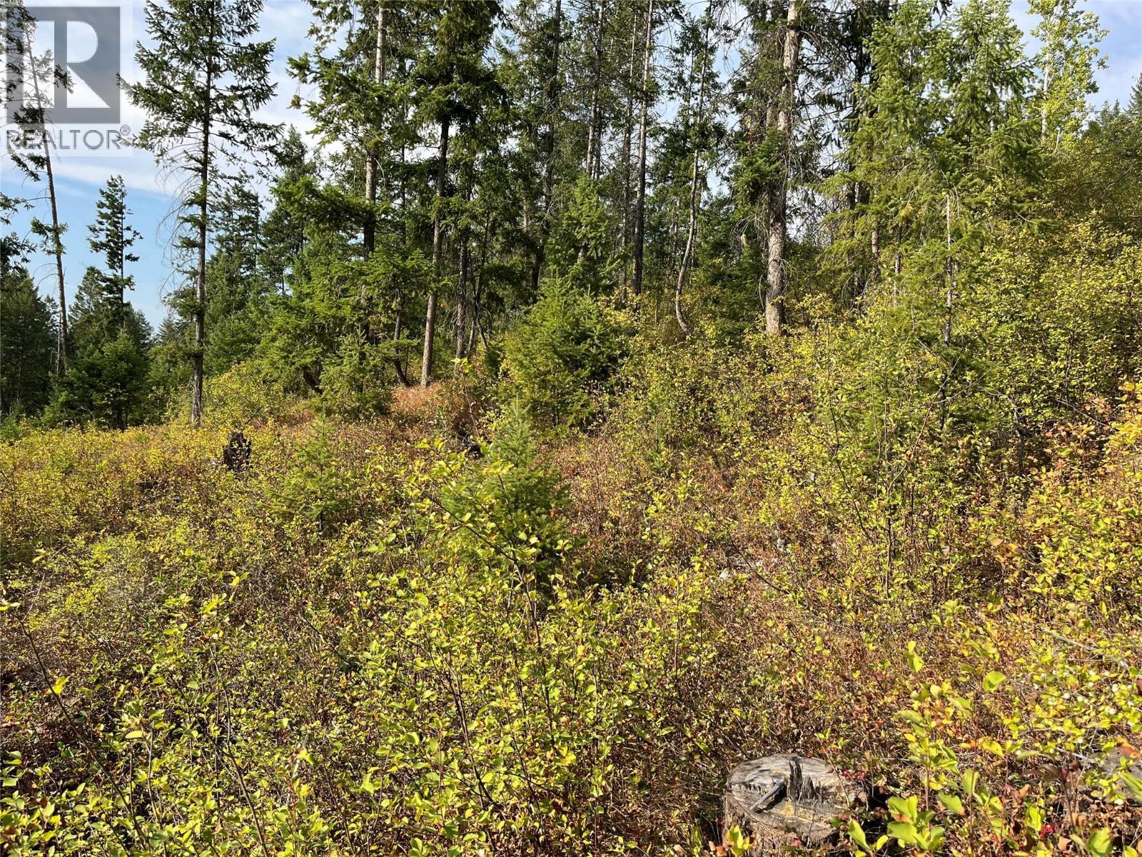 842 Almberg Road Unit# Remainder Lot# Lot, Golden, BC
