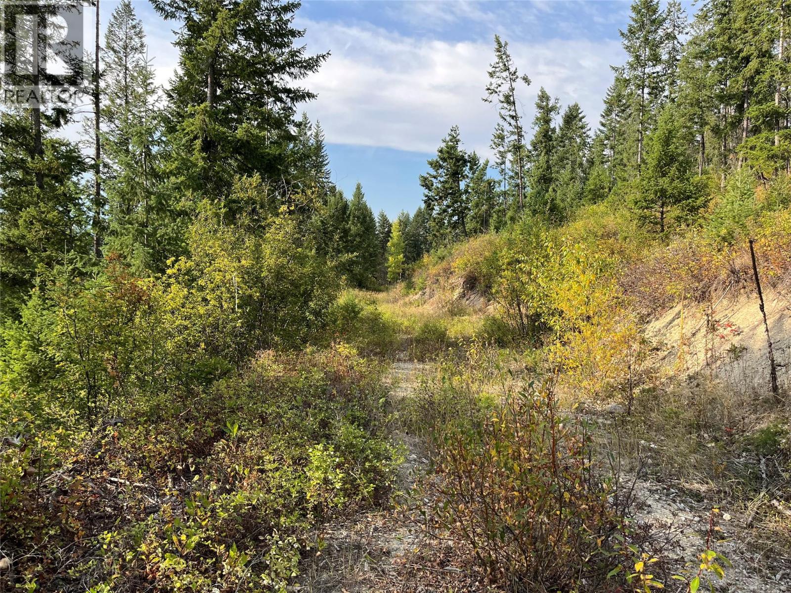 842 Almberg Road Unit# Remainder Lot# Lot, Golden, BC