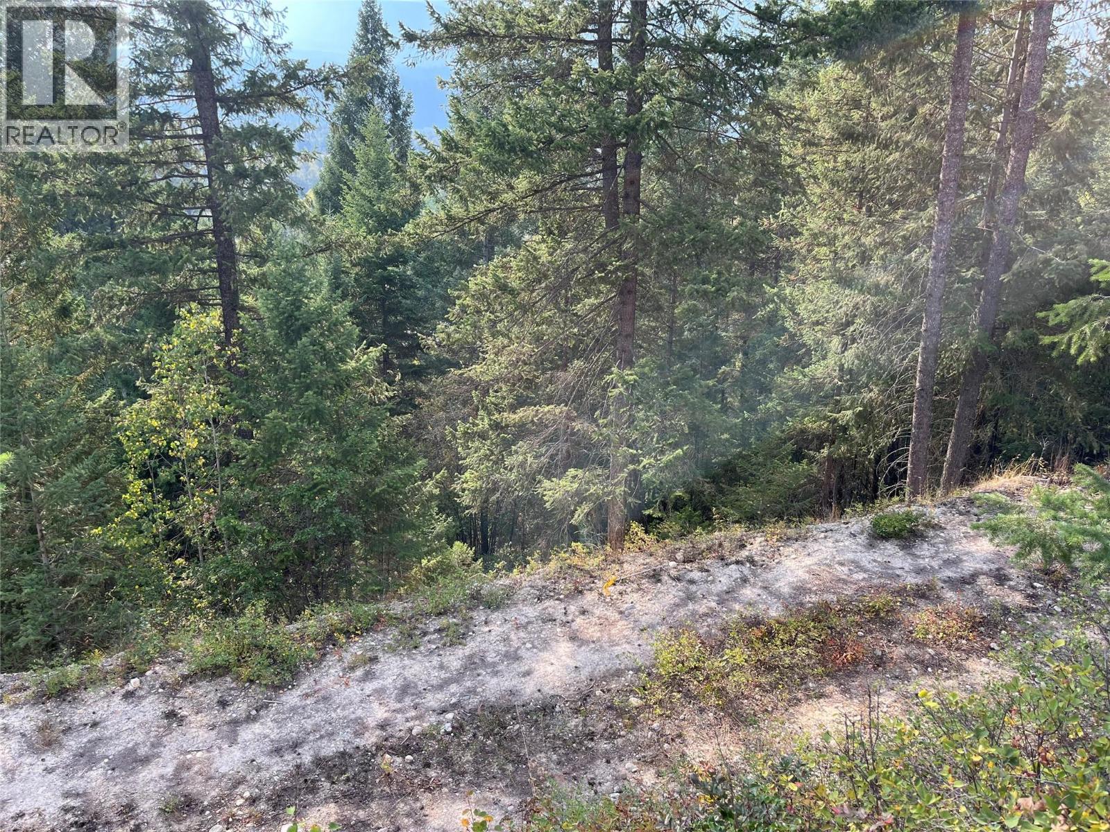842 Almberg Road Unit# Remainder Lot# Lot, Golden, BC