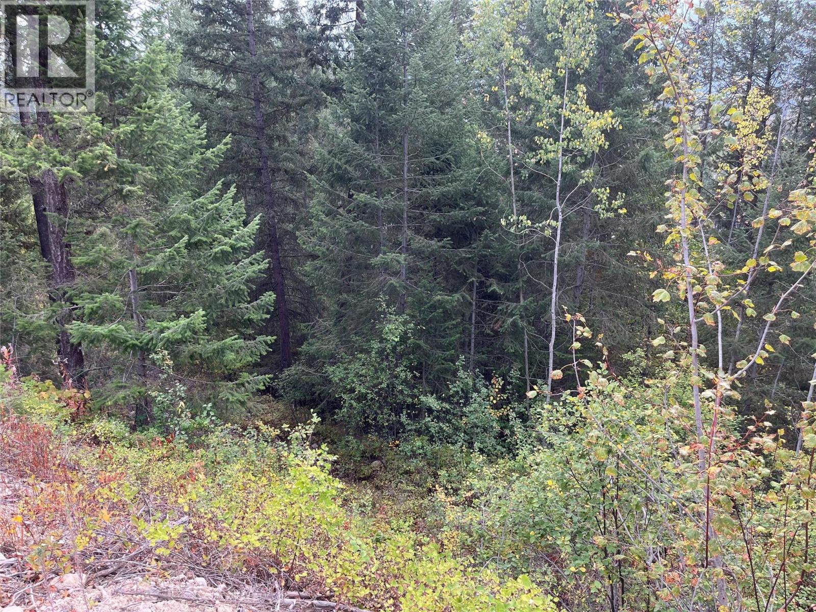 842 Almberg Road Unit# Remainder Lot# Lot, Golden, BC