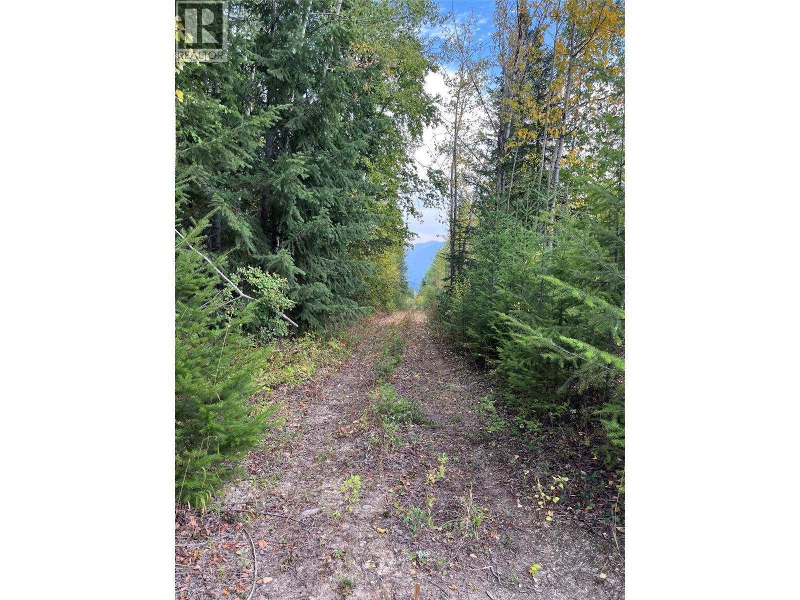 842 Almberg Road Unit# Remainder Lot# Lot, Golden, BC
