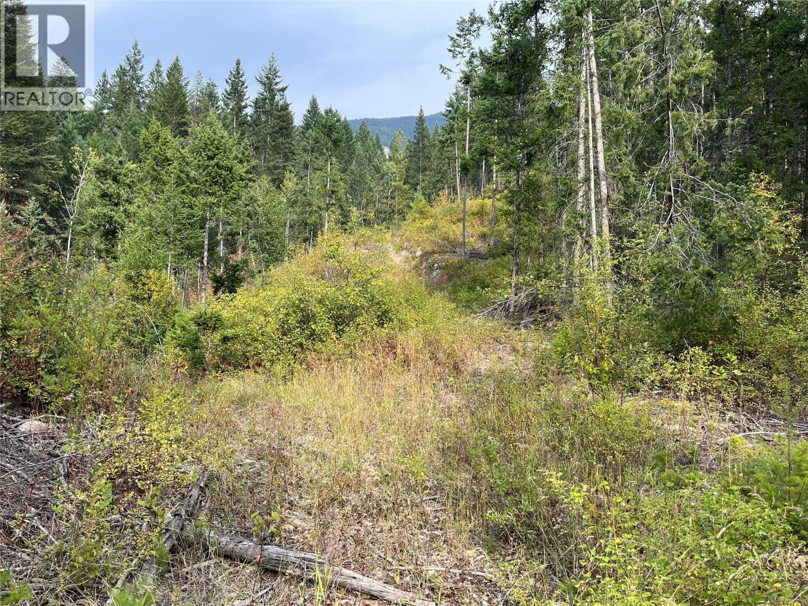 842 Almberg Road Unit# Remainder Lot# Lot, Golden, BC
