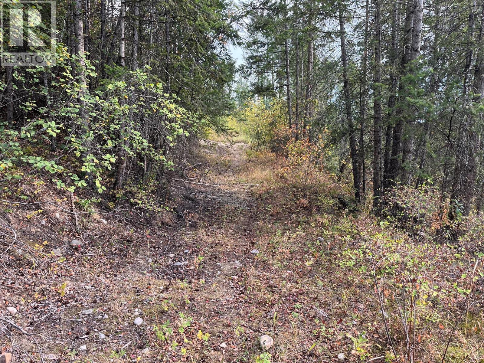 842 Almberg Road Unit# Remainder Lot# Lot, Golden, BC