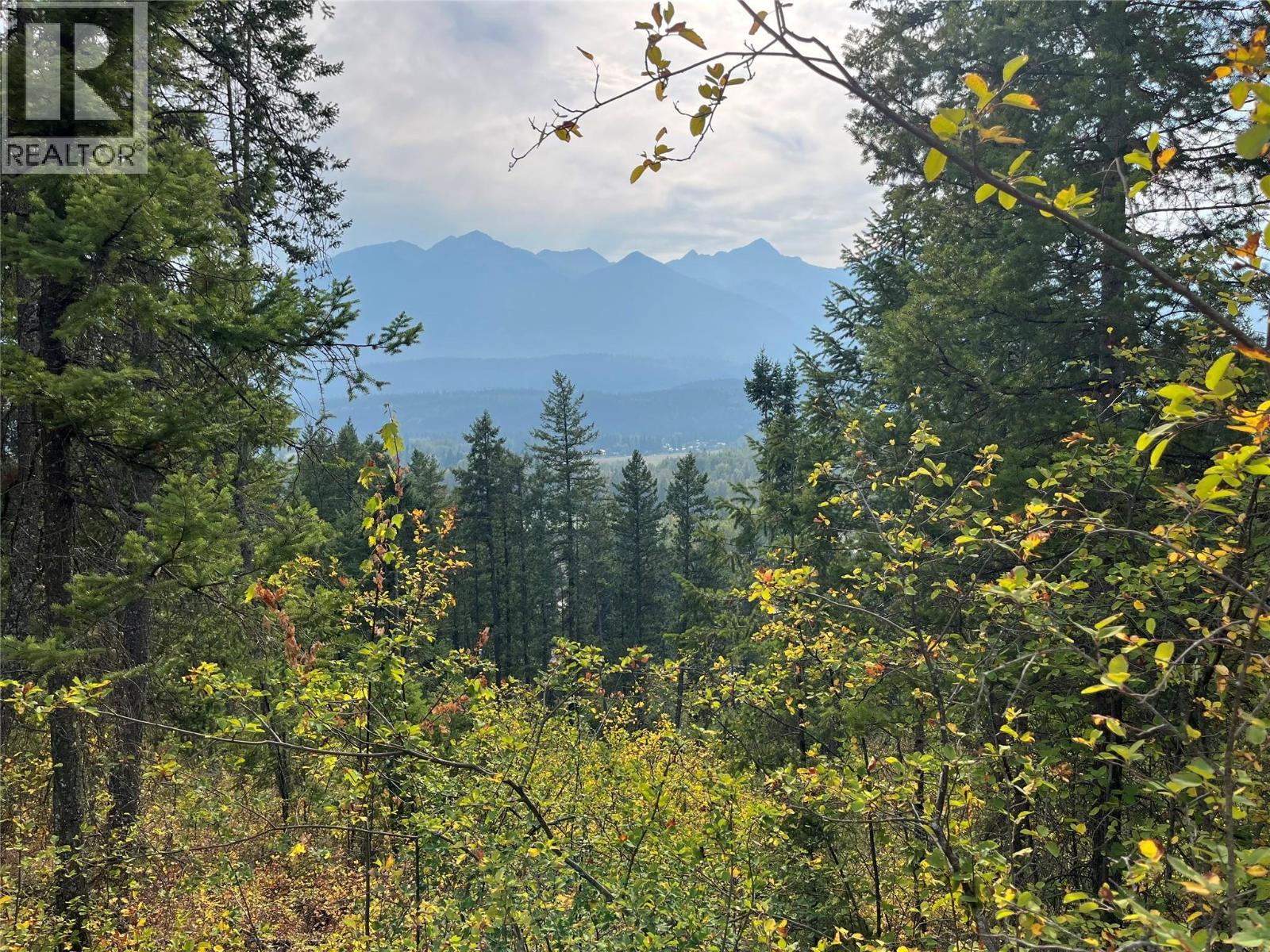 842 Almberg Road Unit# Remainder Lot# Lot, Golden, BC