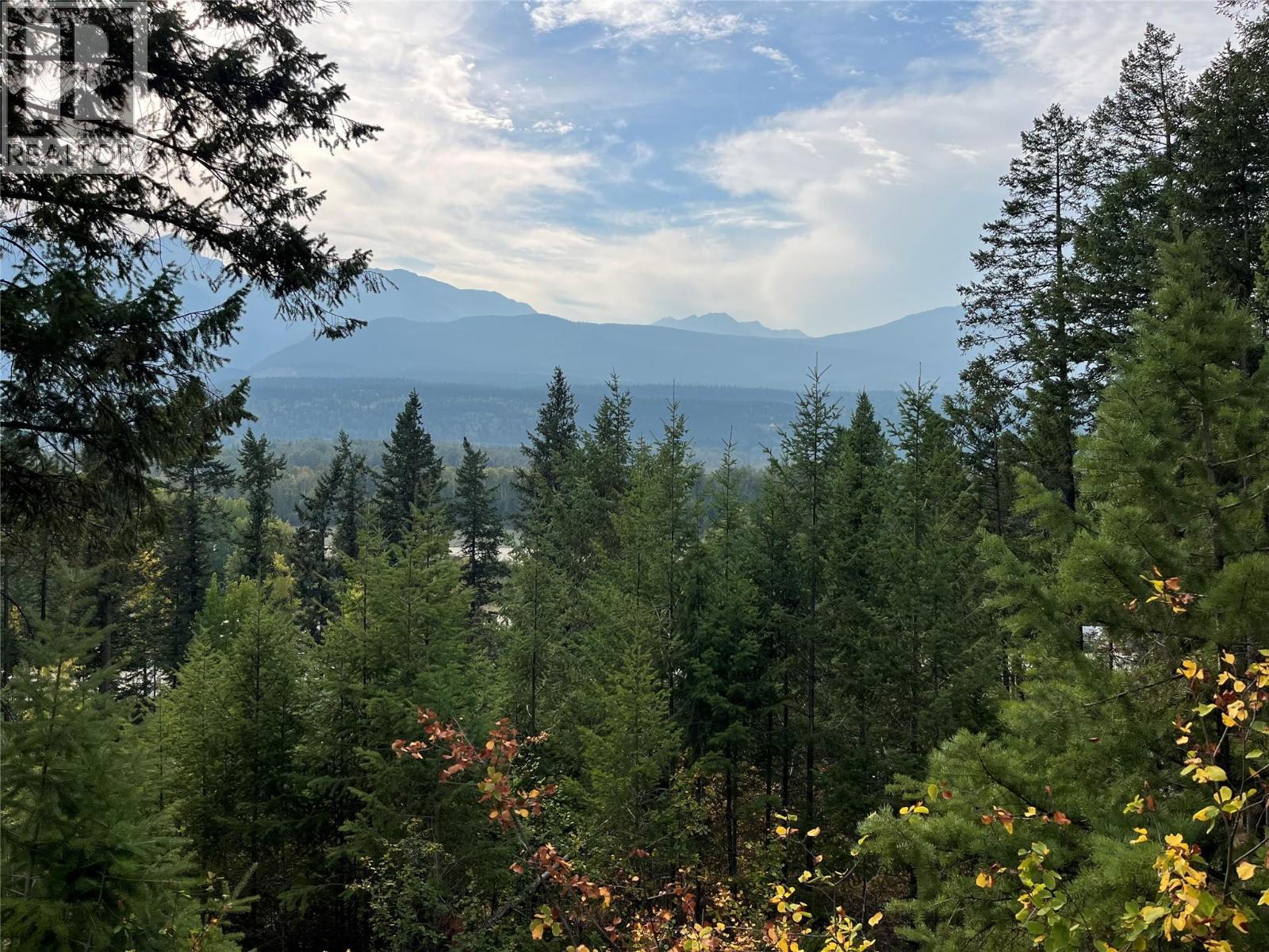 842 Almberg Road Unit# Remainder Lot# Lot, Golden, BC