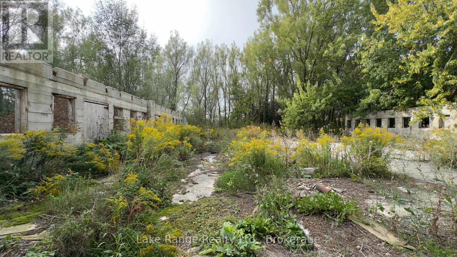 Old barn foundation, could be a nice patio/garden - 2742 Concession 4 Concession, Huron-Kinloss, ON - Outdoor