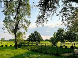 Front yard / Dog run -