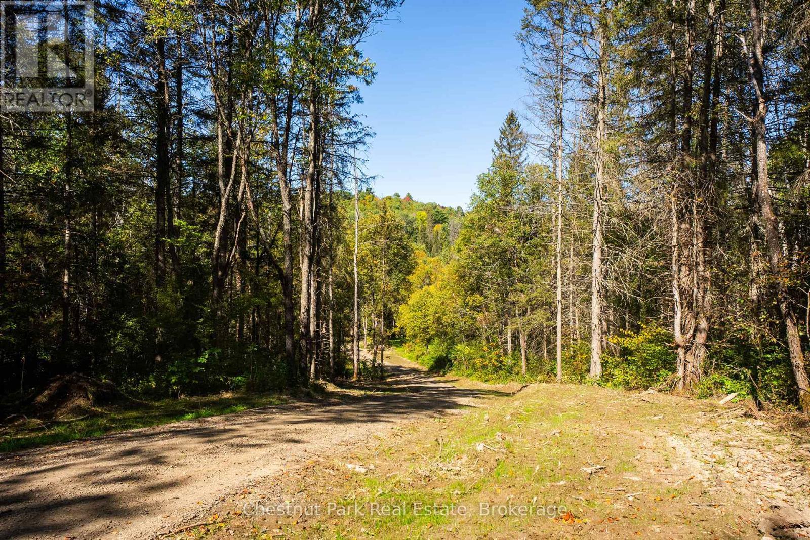 00 Deer Lake Road, Perry (Emsdale), ON