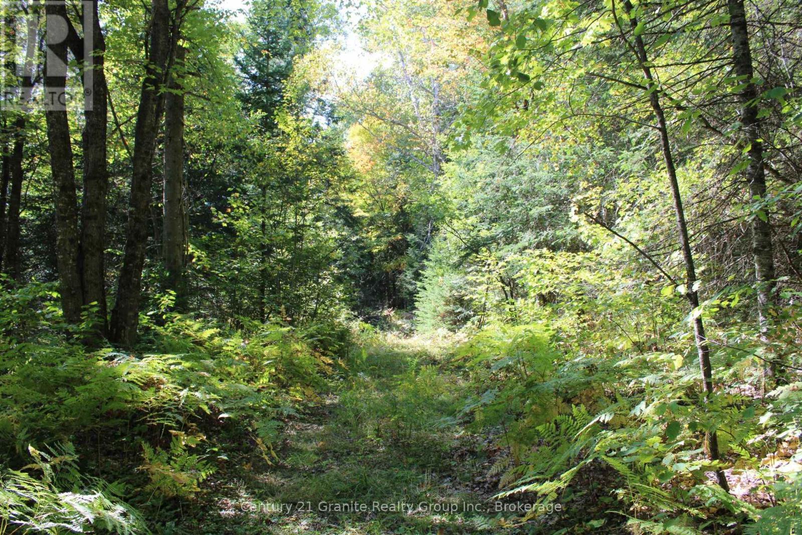 1295 Binscarth Trail, Dysart Et Al (Guilford), ON - Outdoor