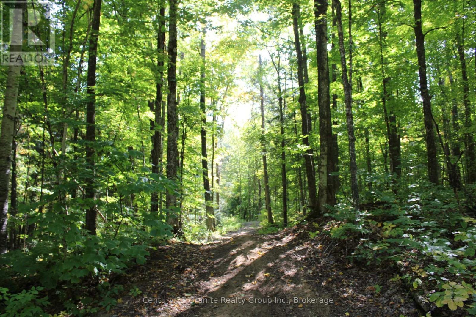 1295 Binscarth Trail, Dysart Et Al (Guilford), ON - Outdoor