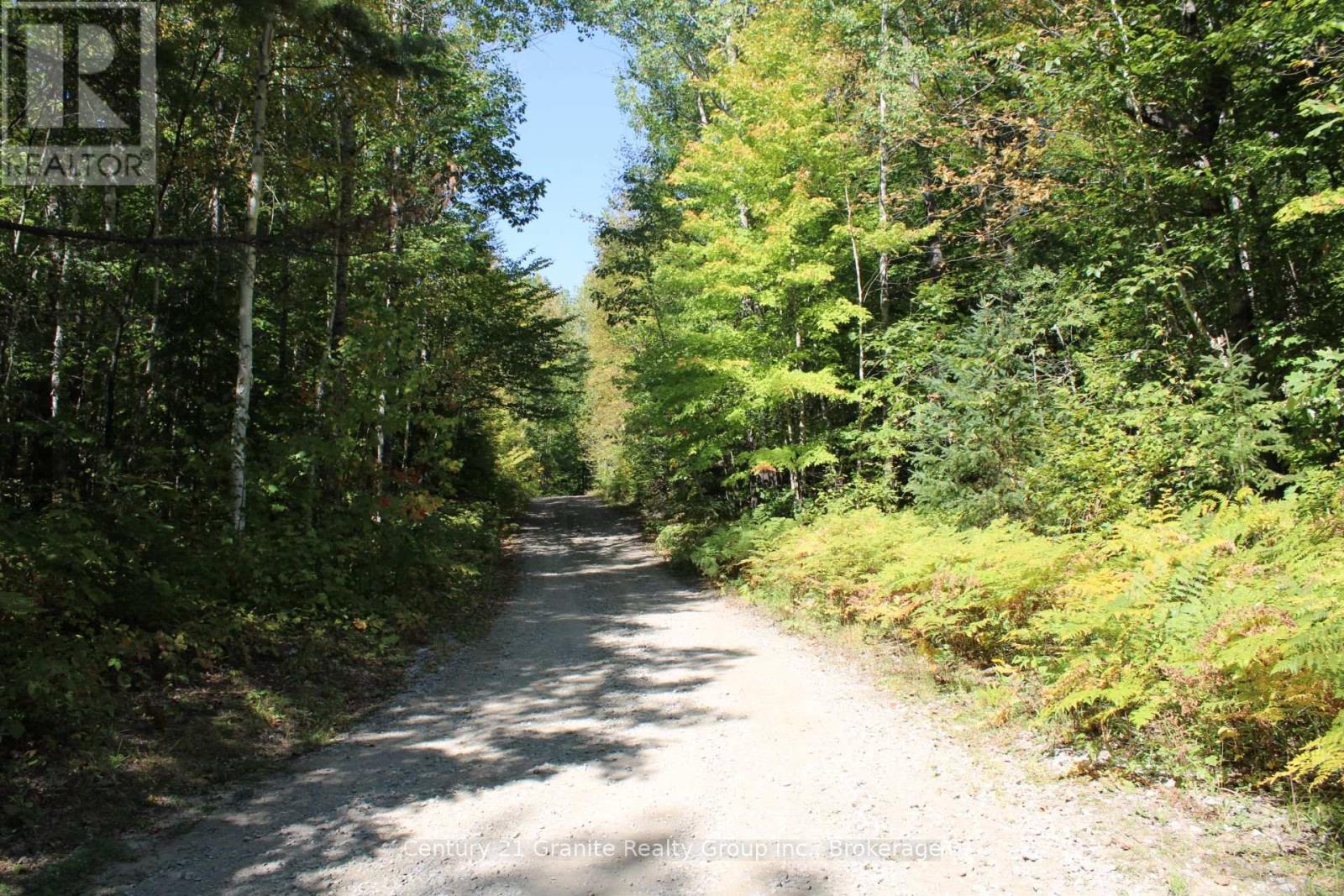 1295 Binscarth Trail, Dysart Et Al (Guilford), ON - Outdoor With View