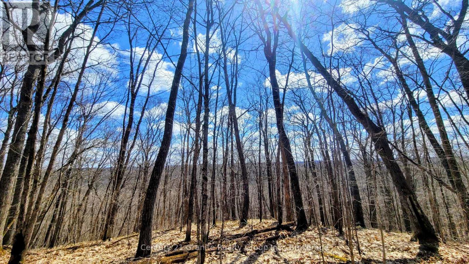 1295 Binscarth Trail, Dysart Et Al (Guilford), ON - Outdoor With View