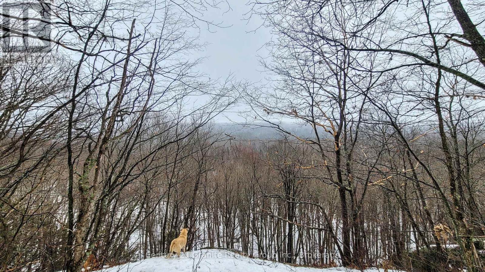 1295 Binscarth Trail, Dysart Et Al (Guilford), ON - Outdoor With View