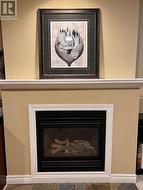 Lower Gas Fireplace -